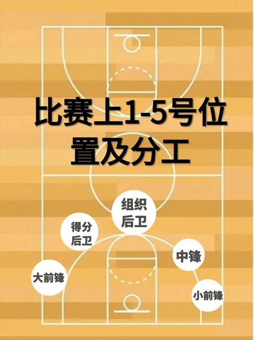 篮球培训的市场定位