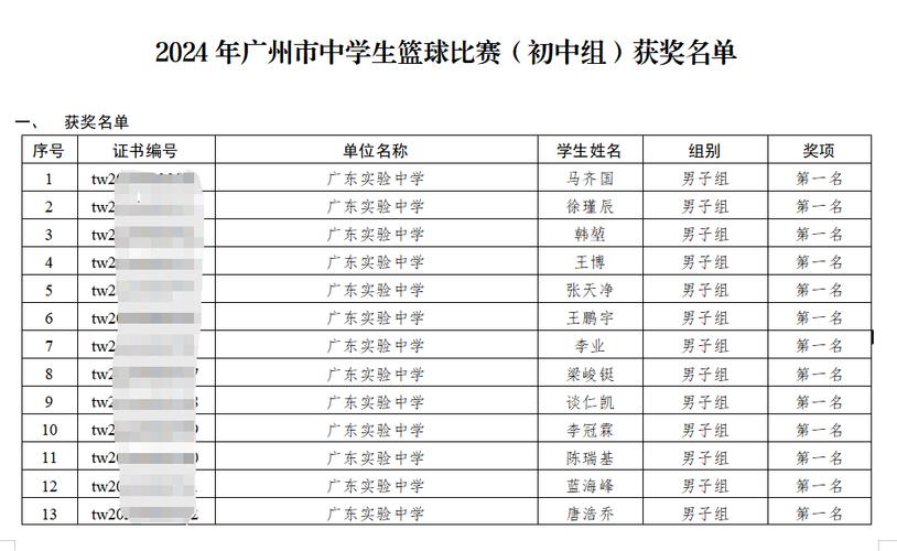 篮球赛获奖学校名单