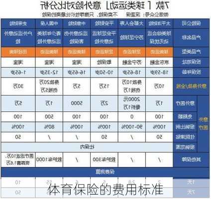 体育保险的费用标准