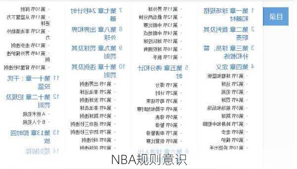 NBA规则意识