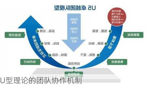 U型理论的团队协作机制