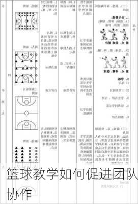 篮球教学如何促进团队协作