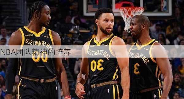 NBA团队精神的培养