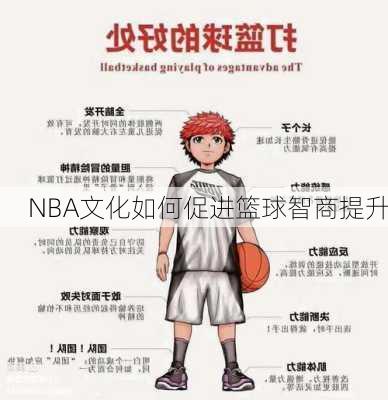 NBA文化如何促进篮球智商提升