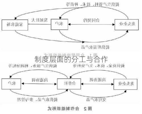 制度层面的分工与合作