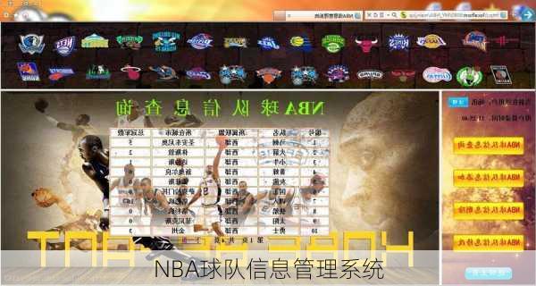 NBA球队信息管理系统