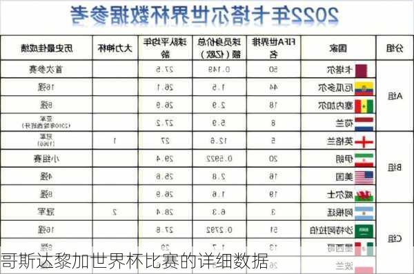 哥斯达黎加世界杯比赛的详细数据