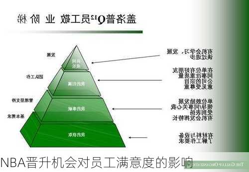 NBA晋升机会对员工满意度的影响