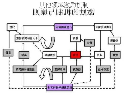 其他领域激励机制