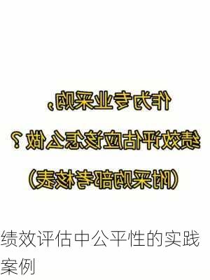 绩效评估中公平性的实践案例