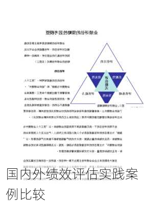 国内外绩效评估实践案例比较