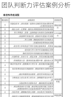 团队判断力评估案例分析