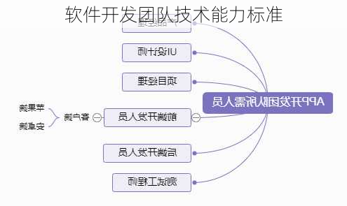 软件开发团队技术能力标准