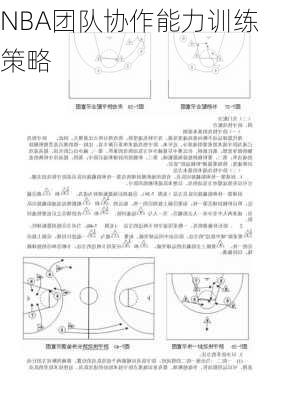 NBA团队协作能力训练策略