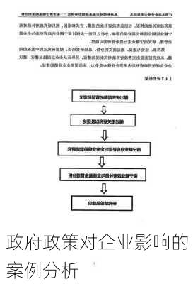 政府政策对企业影响的案例分析