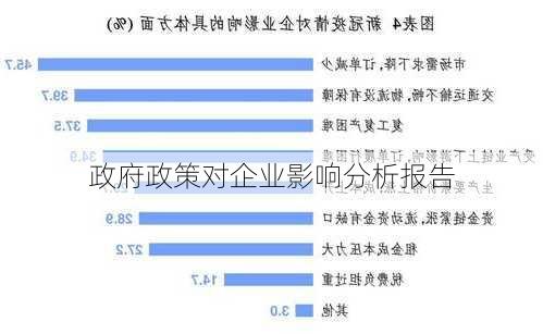 政府政策对企业影响分析报告