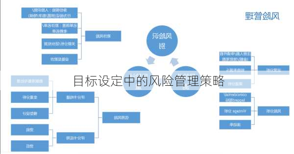 目标设定中的风险管理策略