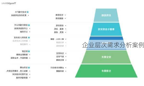 企业层次需求分析案例