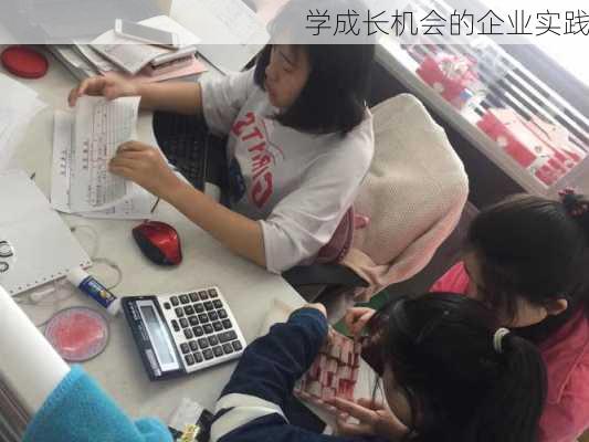 学成长机会的企业实践