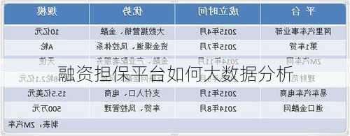 融资担保平台如何大数据分析