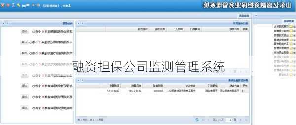 融资担保公司监测管理系统