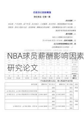 NBA球员薪酬影响因素研究论文