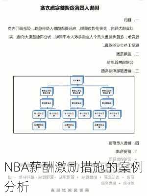 NBA薪酬激励措施的案例分析