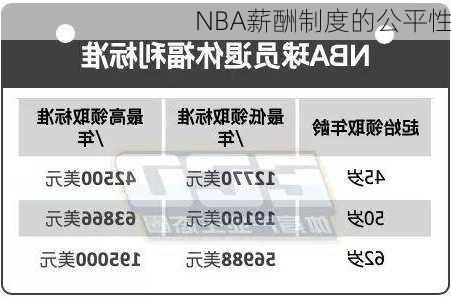 NBA薪酬制度的公平性