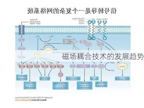 磁场耦合技术的发展趋势