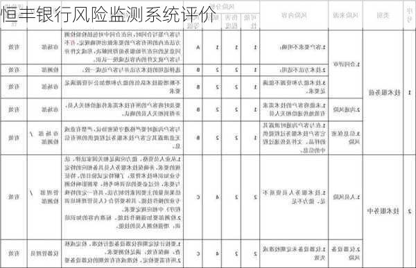 恒丰银行风险监测系统评价