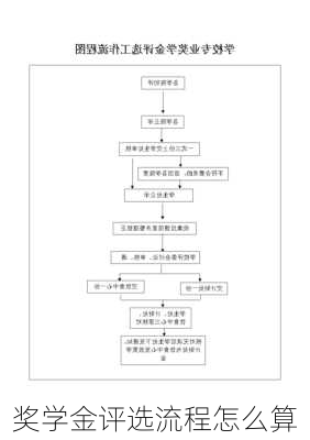 奖学金评选流程怎么算