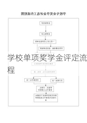 学校单项奖学金评定流程