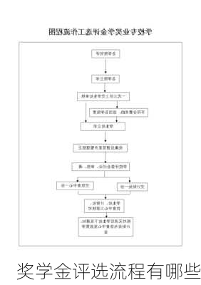 奖学金评选流程有哪些