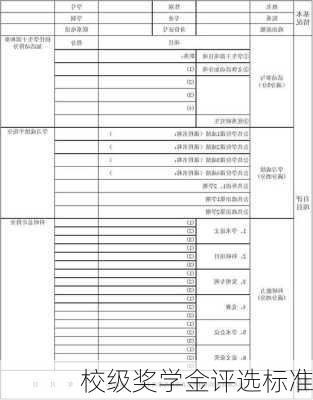 校级奖学金评选标准