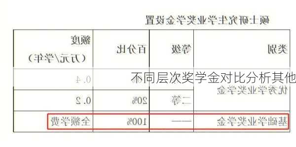 不同层次奖学金对比分析其他