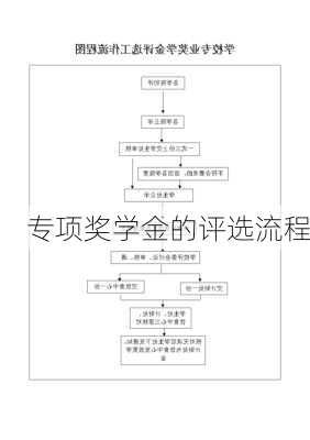 专项奖学金的评选流程