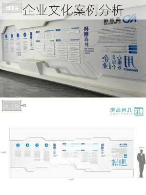 企业文化案例分析