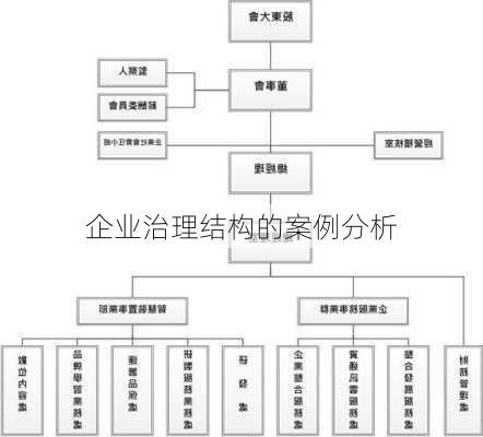 企业治理结构的案例分析