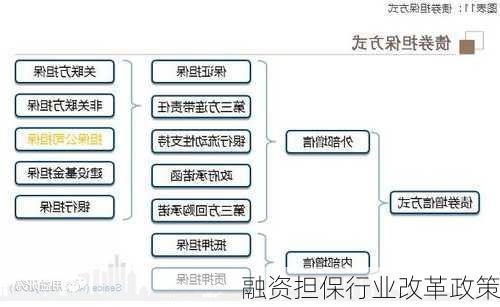 融资担保行业改革政策