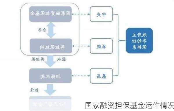 国家融资担保基金运作情况