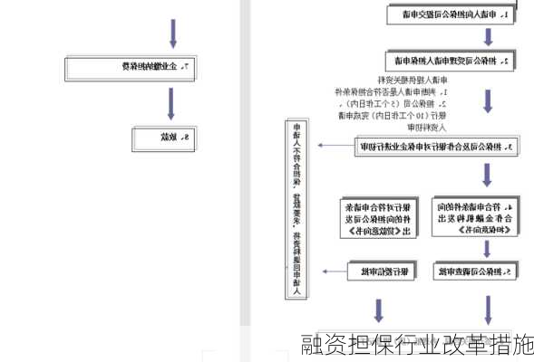 融资担保行业改革措施