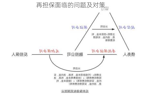 再担保面临的问题及对策