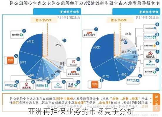 亚洲再担保业务的市场竞争分析