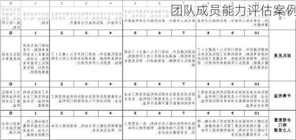 团队成员能力评估案例