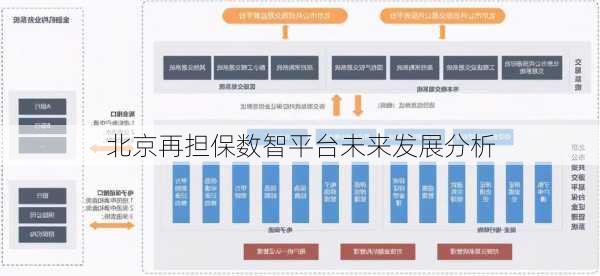 北京再担保数智平台未来发展分析