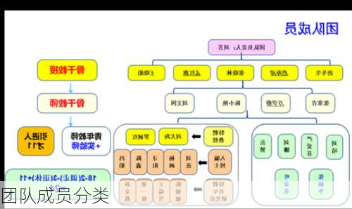 团队成员分类