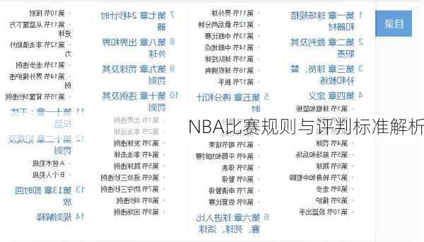 NBA比赛规则与评判标准解析