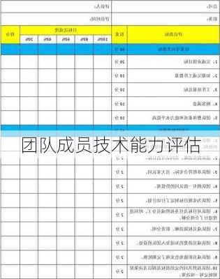 团队成员技术能力评估