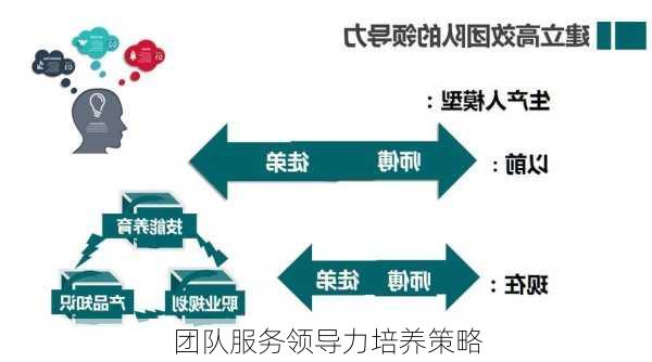 团队服务领导力培养策略