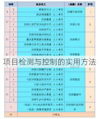 项目检测与控制的实用方法